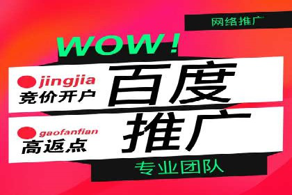 竞价广告赚钱案例：从新手到专家